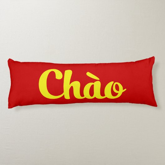 Chào / Hello ~ Vietnam / Vietnamese / Tiet ng Vivi Seitenschläferkissen (Rückseite)