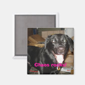 Chaos Steine! Magnet (Vorderseite/Rückseite)