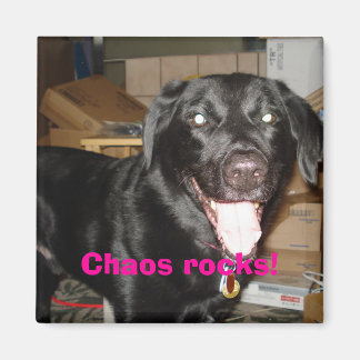 Chaos Steine! Magnet