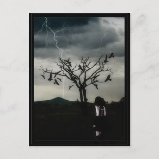 Chaos Theory Postkarte