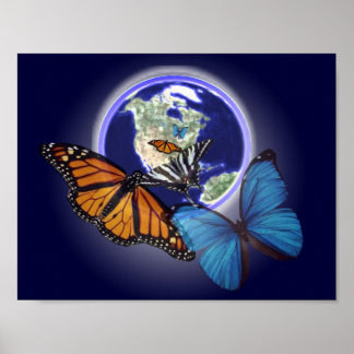 Chaos und Schmetterling Poster