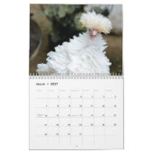 Chaotic Chicken Portraits 2026 Kalender (Mär 2027)