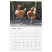 Chaotic Chicken Portraits 2026 Kalender (Jan 2027)