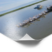 Chapala Pelicans Fotodruck (Ecke)
