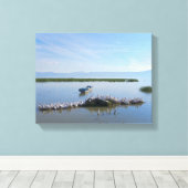 Chapala Pelicans Leinwanddruck (Insitu (Holzboden))