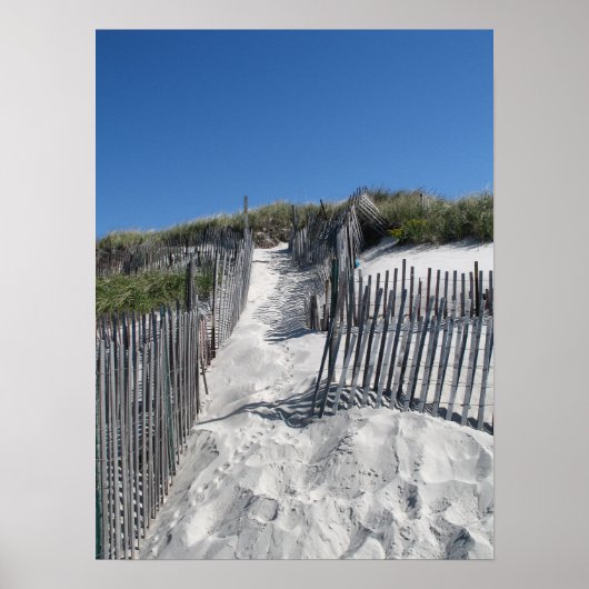 Chapin Beach Cape Cod Poster (Vorne)