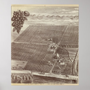 Chapin Frucht-Ranch Poster