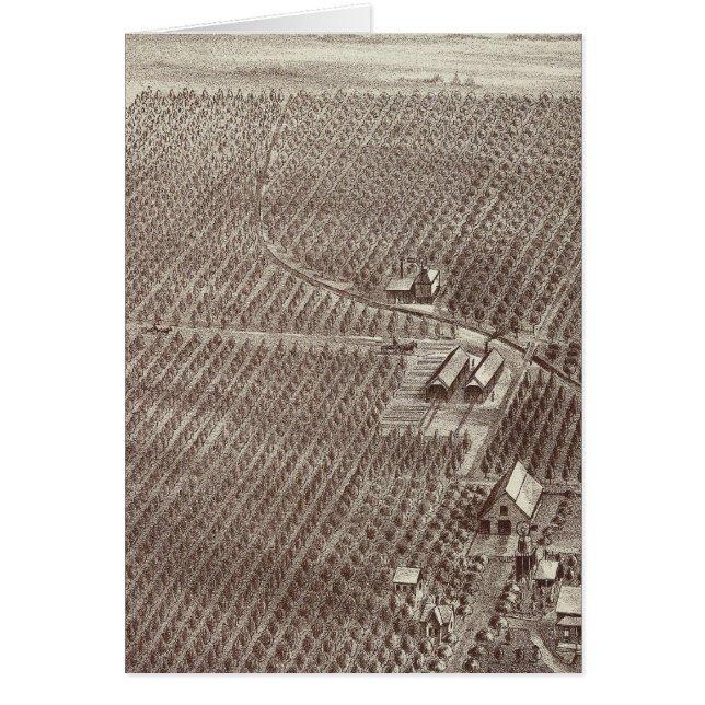 Chapin Fruit Ranch (Vorne)