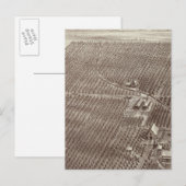 Chapin Fruit Ranch Postkarte (Vorne/Hinten)