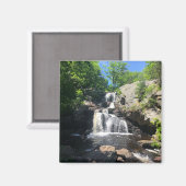 Chapman Falls Magnet (Vorderseite/Rückseite)