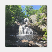 Chapman Falls Magnet (Vorne)