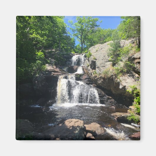 Chapman Falls Magnet (Vorne)