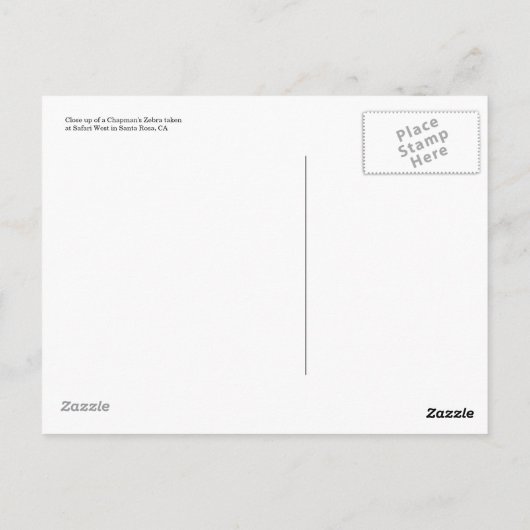 Chapman’s Zebra Postcard Postkarte (Rückseite)