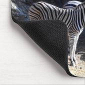 Chapman's Zebras Mousepad (Ecke)