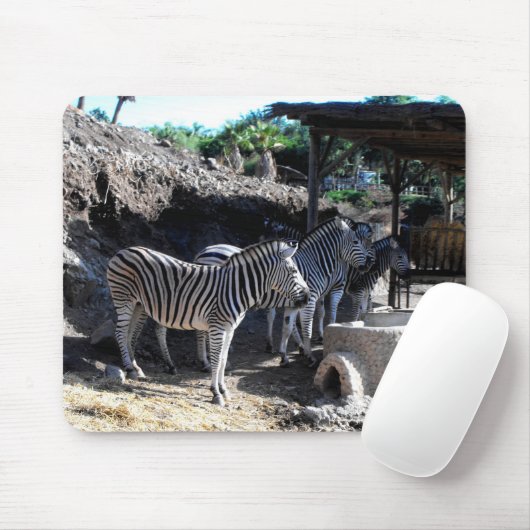 Chapman's Zebras Mousepad (Mit Mouse)