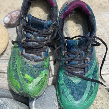 Chappellet Malbec Multi Dragon