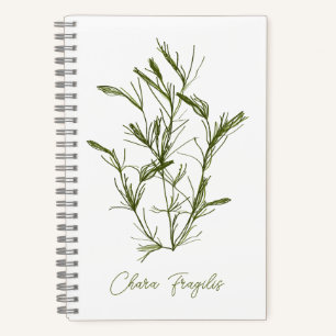 Chara Fragilis Meer-Inspiriert  Notizblock