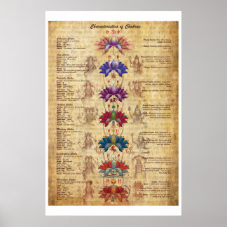 Charakteristika der Chakras Yoga Art Print Poster