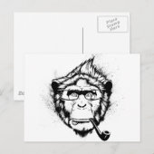 Charakteristischer Chimp Postkarte (Vorne/Hinten)