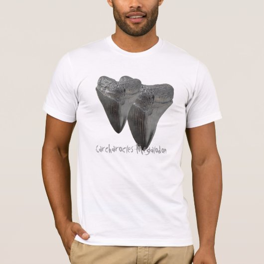 Charcharocles Megalodon Zahn T-Shirt (Vorderseite)
