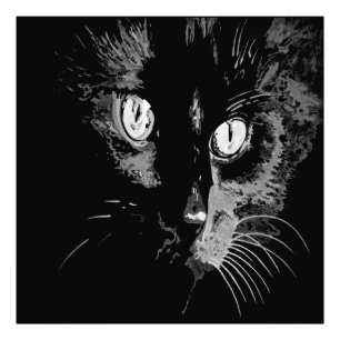 Charcoal Artistic Black Cat Portrait Fotodruck
