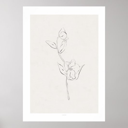 Charcoal Floral Print 'Helleborum' Poster (Vorne)