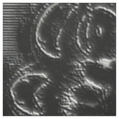 Charcoal Mandala Stoff (Muster)