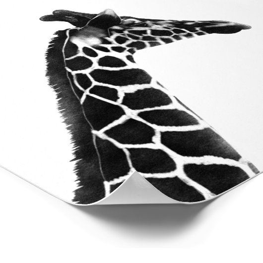 Charcoal Sketch Giraffe Poster (Ecke)