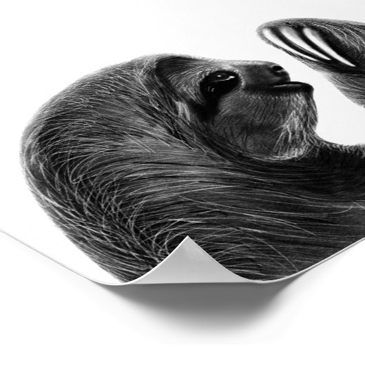 Charcoal Sketch Sloth Poster (Ecke)