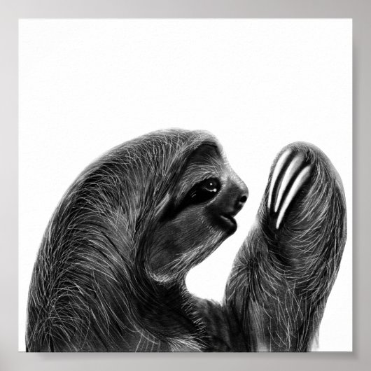 Charcoal Sketch Sloth Poster (Vorne)