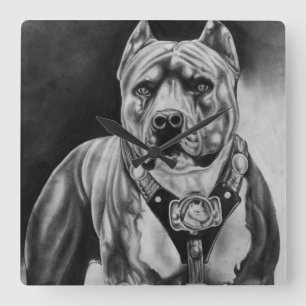 CHARCOIL PITBULL WANDUHR