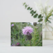 Chardon des champs postkarte (Stehend Vorderseite)