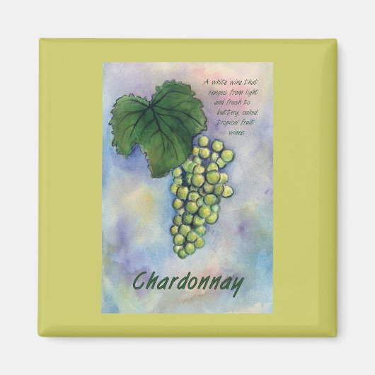 Chardonnay Weintrauben & Beschreibung Magnet (Vorne)
