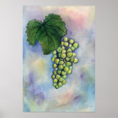 Chardonnay Weintrauben Poster (Vorne)