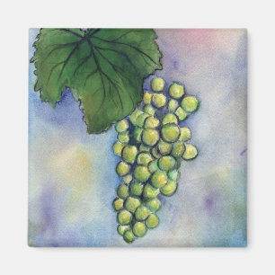 Chardonnay Wine tasting in der Fattoria Moncucchet Magnet
