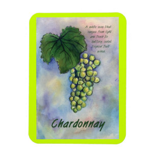 Chardonnay Wine tasting in Fattoria Moncucchetto Magnet