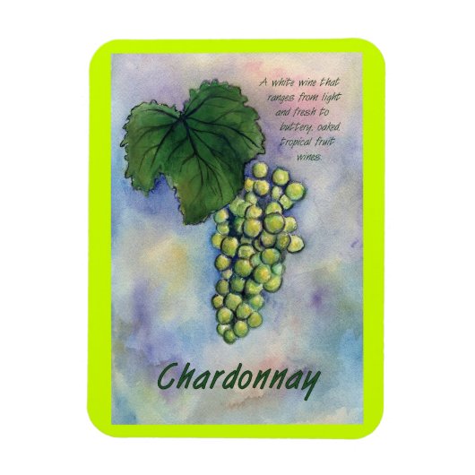 Chardonnay Wine tasting in Fattoria Moncucchetto Magnet (Vertikal)