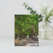 Charelston South Carolina Ravenel Waterfront Park Postkarte (Stehend Vorderseite)