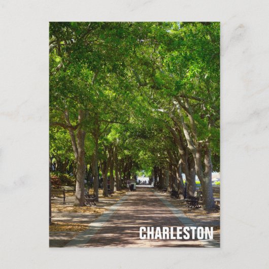Charelston South Carolina Ravenel Waterfront Park Postkarte (Vorderseite)