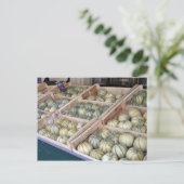 Charentais-Melonen im Lebensmittelgeschäft Postkarte (Stehend Vorderseite)