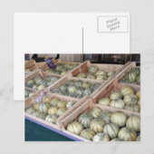 Charentais-Melonen im Lebensmittelgeschäft Postkarte (Vorne/Hinten)