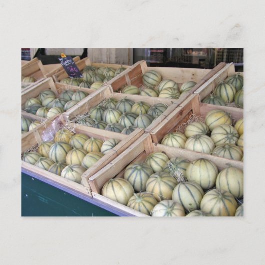 Charentais-Melonen im Lebensmittelgeschäft Postkarte (Vorderseite)
