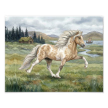Charismatische Pinto-Isländer-Stute Aquarell