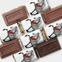 Charismatisches isländisches Pferd