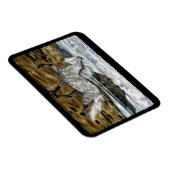 Charismatisches Islandpferd Magnet (Rechte Seite)