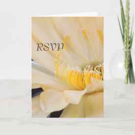 Charlemagne Echinopsis in blühender UAWG Einladung