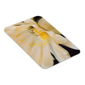 Charlemagne Echinopsis in Blüte Magnet (Rechte Seite)