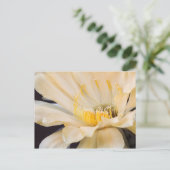 Charlemagne Echinopsis in Blüte Postkarte (Stehend Vorderseite)