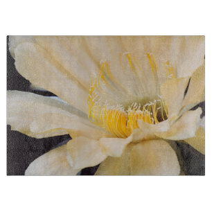 Charlemagne Echinopsis in Blüte Schneidebrett