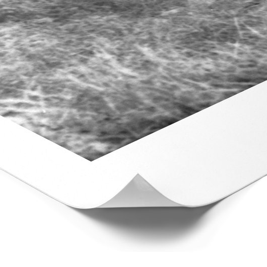 Charles Belden mit Pferd und Schädel. Poster (Ecke)